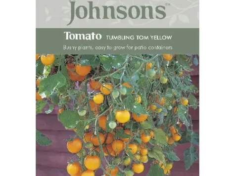 Tomato tumbling tom yellow am - imagine 1