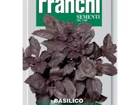 AS busuioc violet - imagine 1