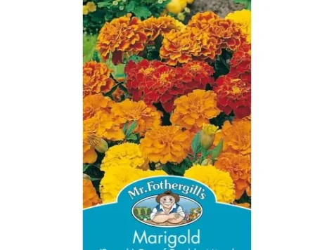 Marigold double mixed - imagine 1