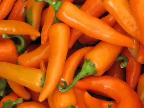 Piper - pepper - (hot) bulgarian carrot - imagine 1