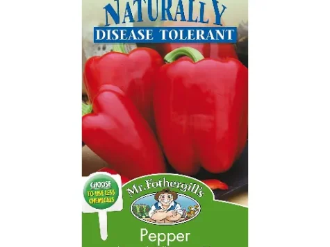 Piper - pepper - sweet joly rosso f1 - imagine 1