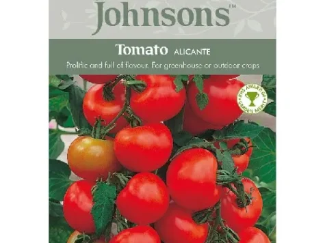 Tomato alicante - imagine 1