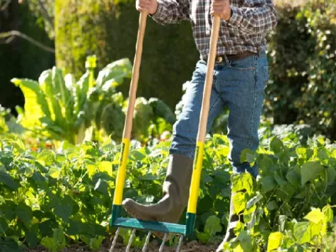 Cultivator BIOGRIF cu 5 dinți interschimbabili, asamblat - imagine 2