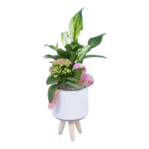 Aranjament scaunel plante mix
