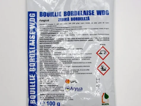 MG Zeama bordeleza 100 g - imagine 1