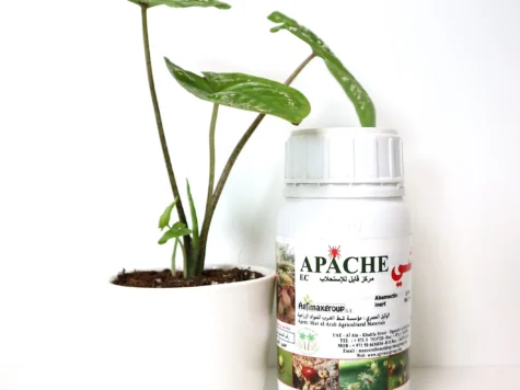 Insecticid/acaricid - Apache ( fost Vertimec ) 10 ml - imagine 1