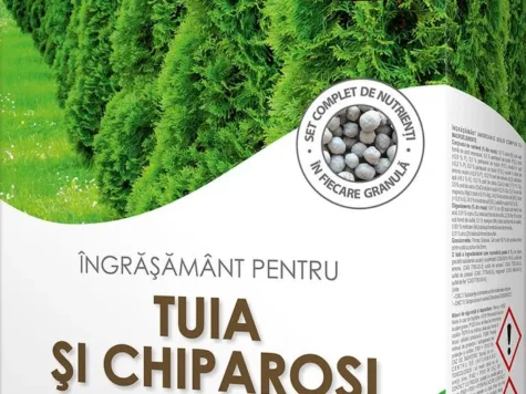 Biopon Ingrasamant pentru Tuia si Chipasrosi1 Kg - imagine 1